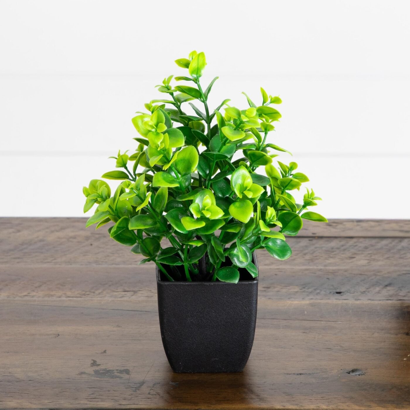 8" Artificial Evergreen Boxwood Plant in Black Square Pot - Set of 3