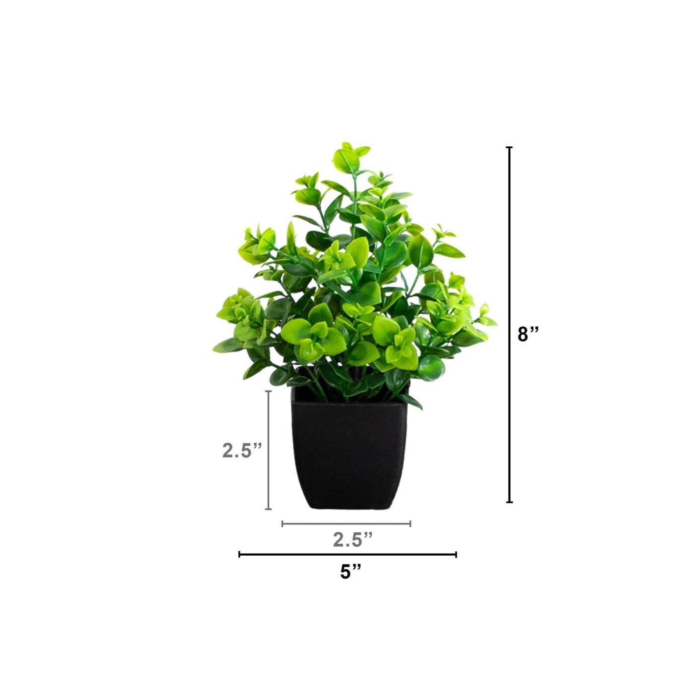 8" Artificial Evergreen Boxwood Plant in Black Square Pot - Set of 3