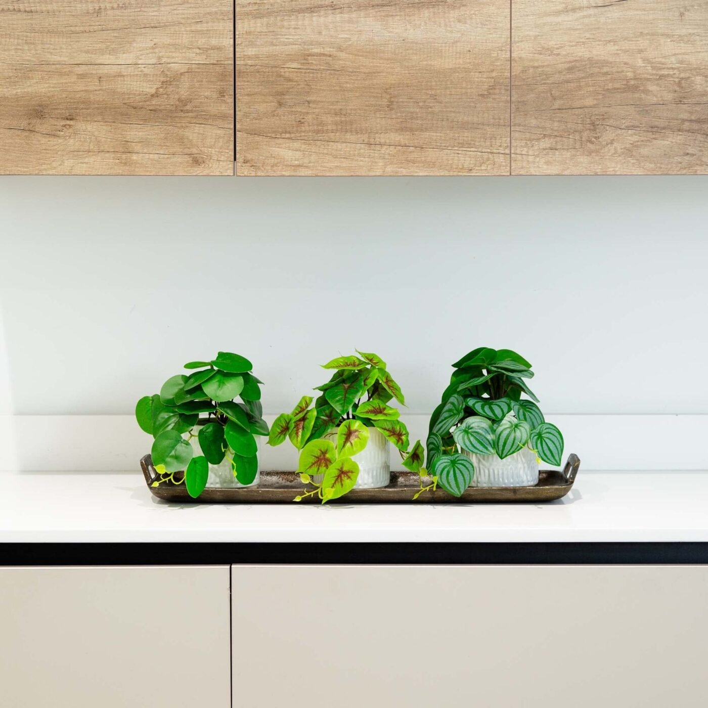 8" Artificial Mixed Greens in Ceramic Planter- Set of 3