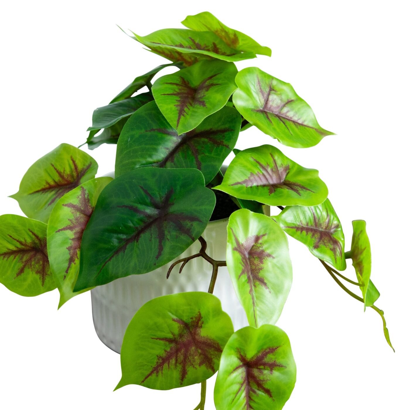 8" Artificial Mixed Greens in Ceramic Planter- Set of 3