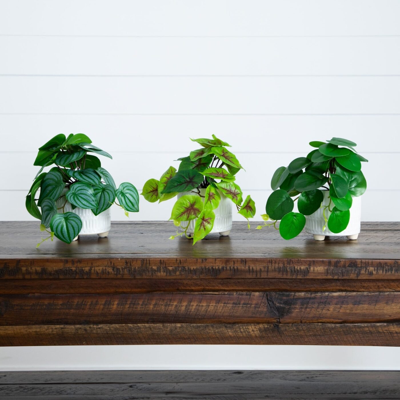 8" Artificial Mixed Greens in Ceramic Planter- Set of 3