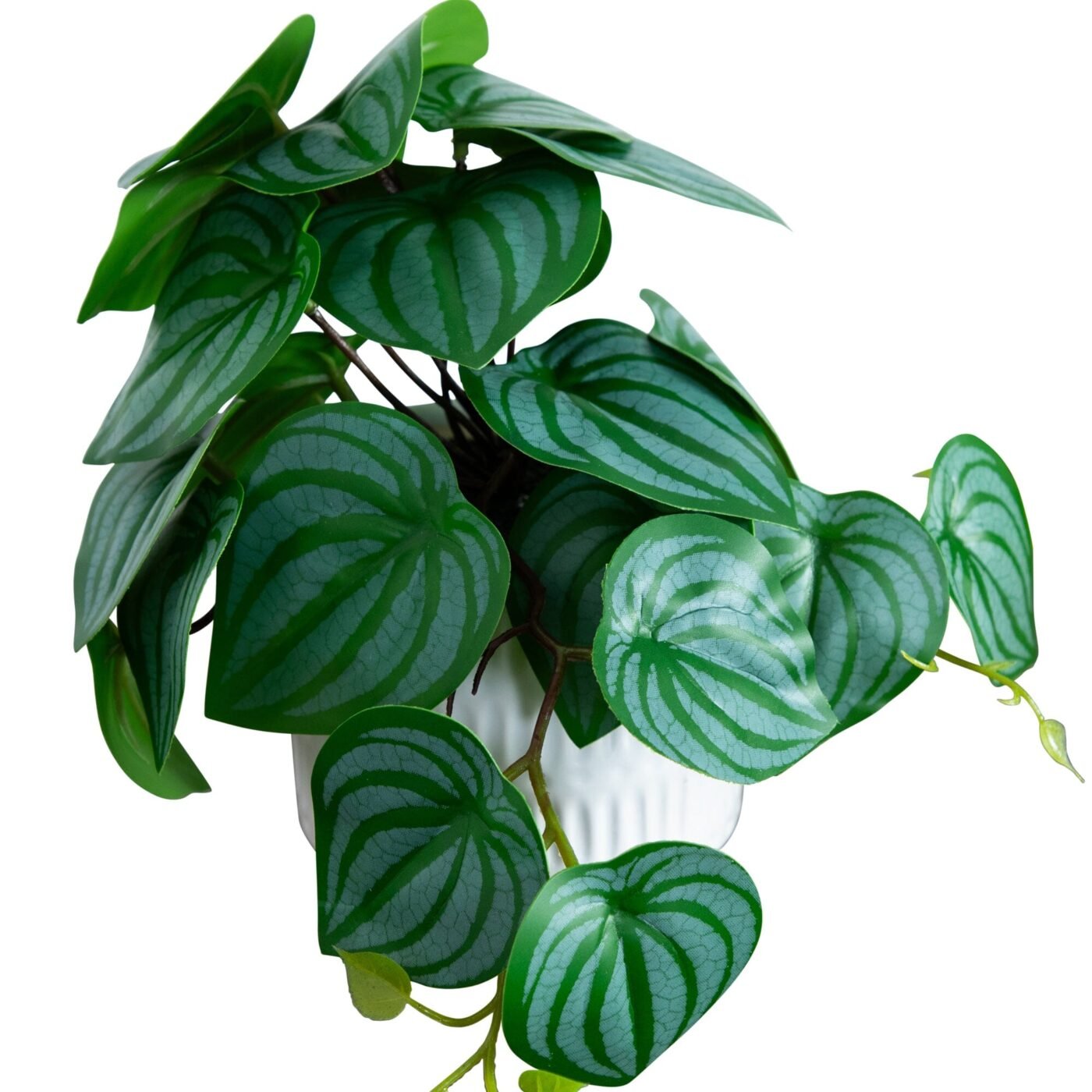 8" Artificial Mixed Greens in Ceramic Planter- Set of 3