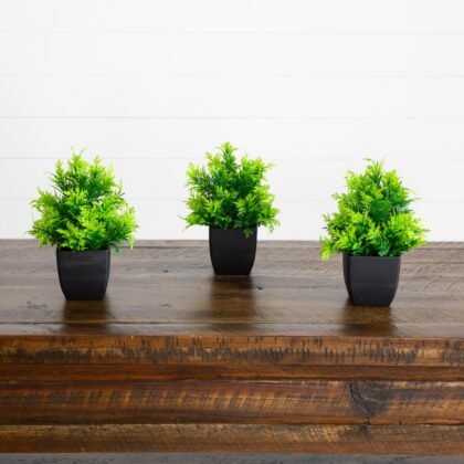 7" Artificial Cedar in Black Square Pot - Set of 3