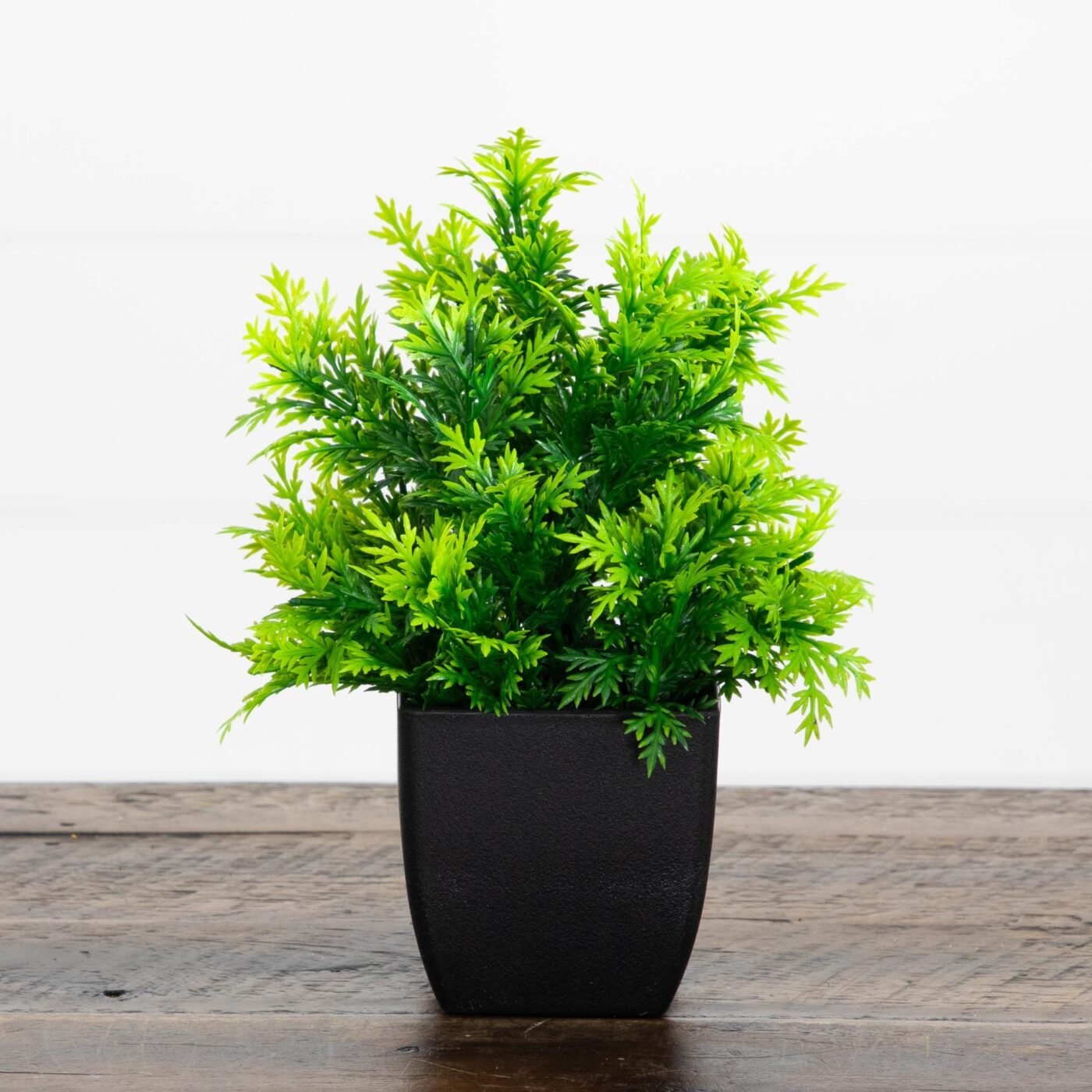 7" Artificial Cedar in Black Square Pot - Set of 3