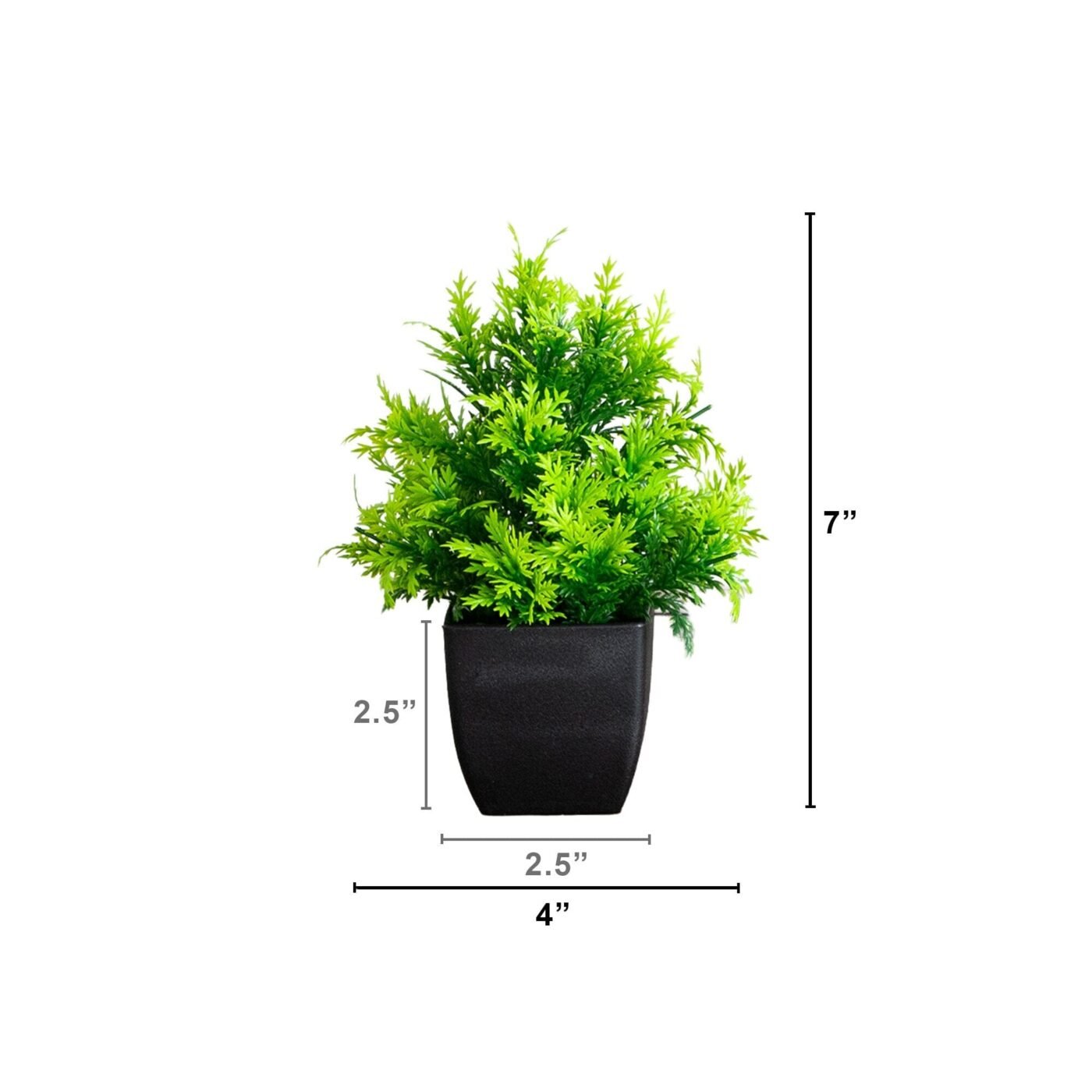 7" Artificial Cedar in Black Square Pot - Set of 3