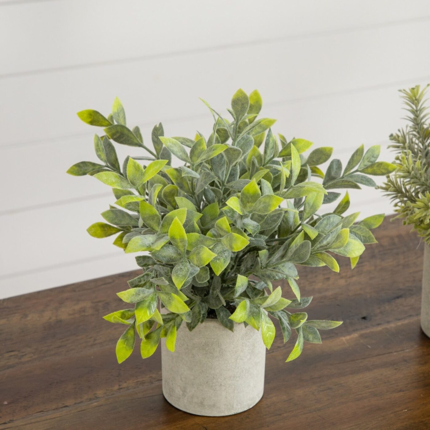 8" Artificial Mini Eucalyptus Potted Plants - Set of 3