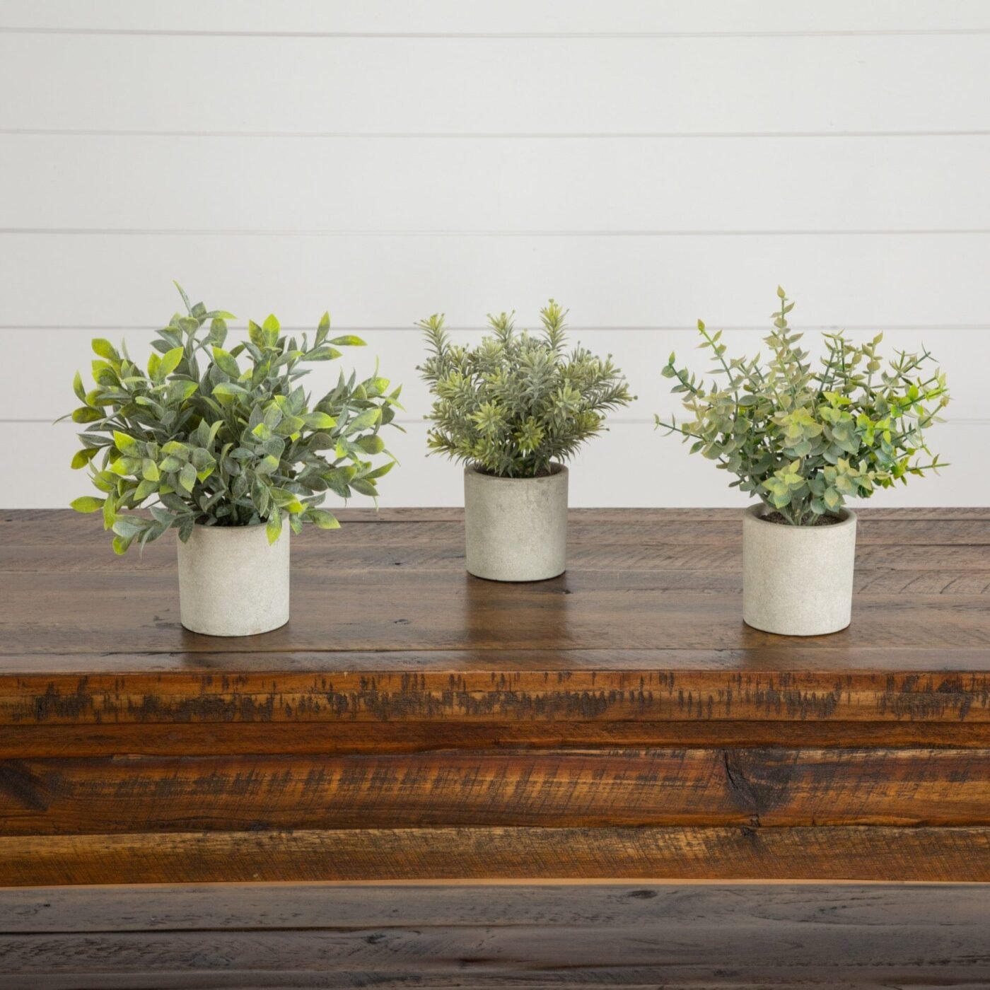 8" Artificial Mini Eucalyptus Potted Plants - Set of 3