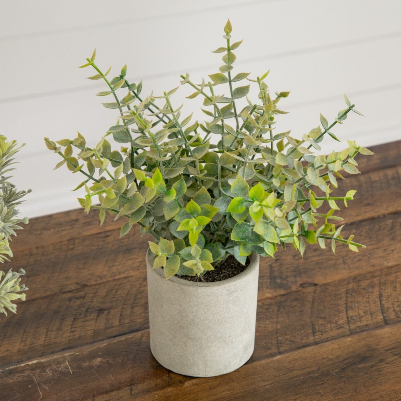 8" Artificial Mini Eucalyptus Potted Plants - Set of 3