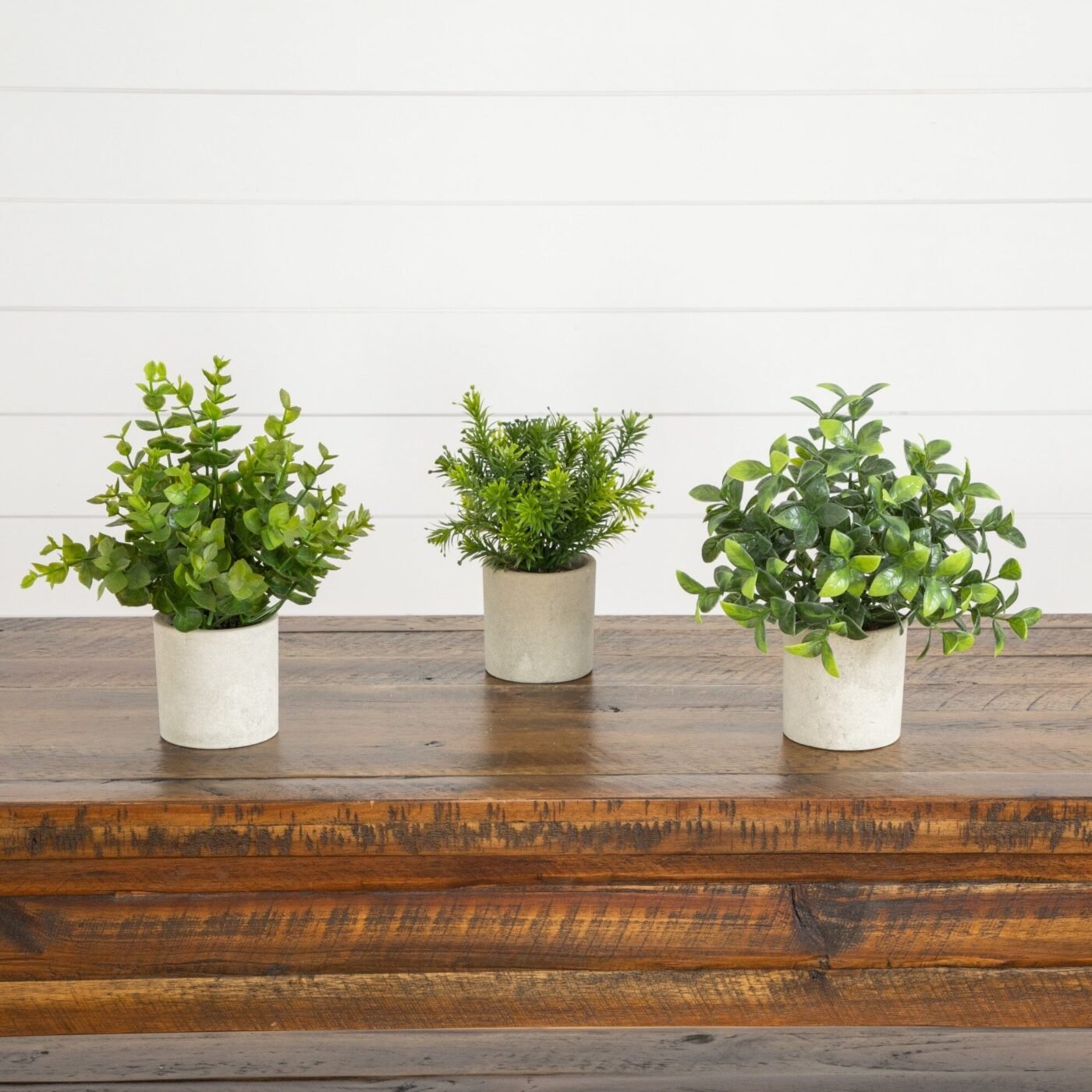 8" Artificial Mini Greenery Potted Plant - Set of 3