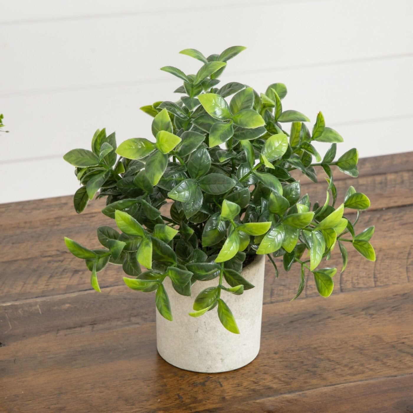 8" Artificial Mini Greenery Potted Plant - Set of 3