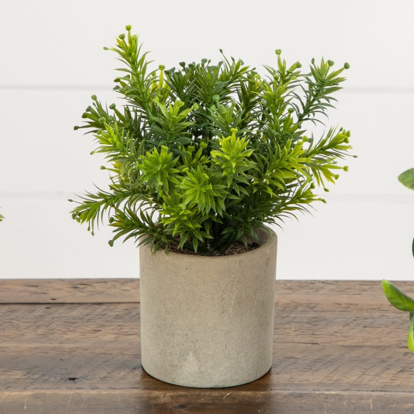 8" Artificial Mini Greenery Potted Plant - Set of 3
