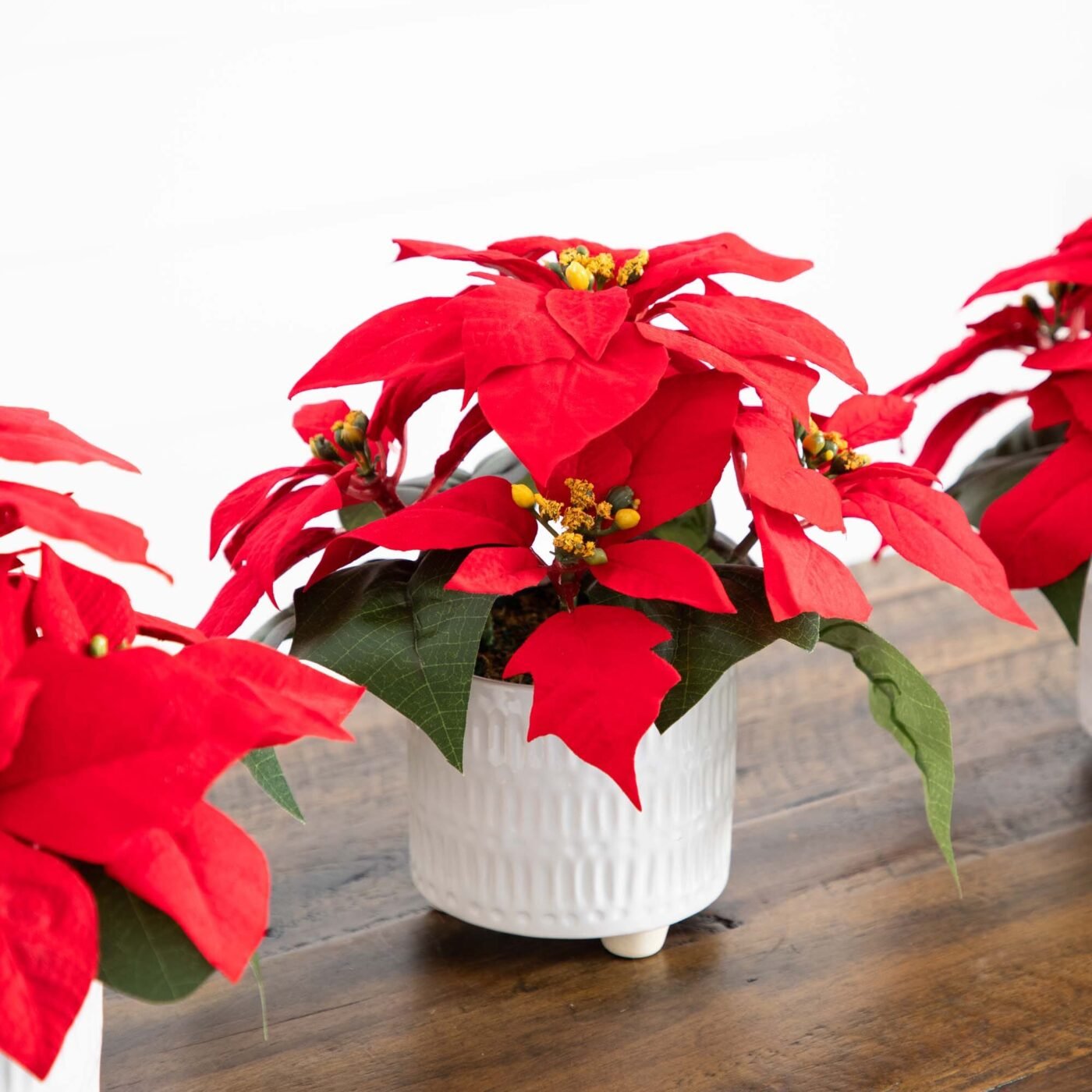 9" Artificial Poinsettia Arrangements in White Ceramic Pots - Set of 3