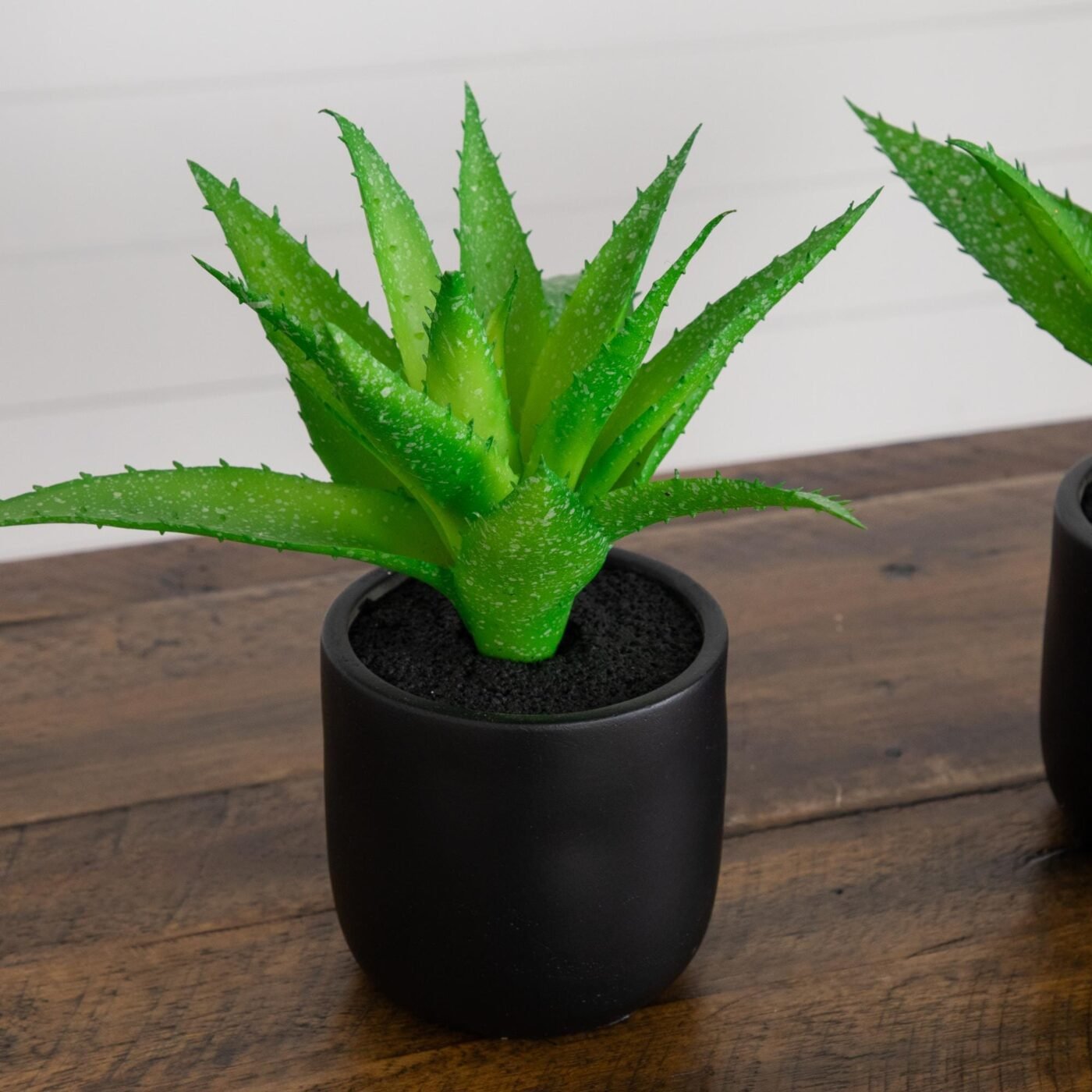 9" Artificial Mini Agave Plant in Ceramic Black Planter - Set of 2