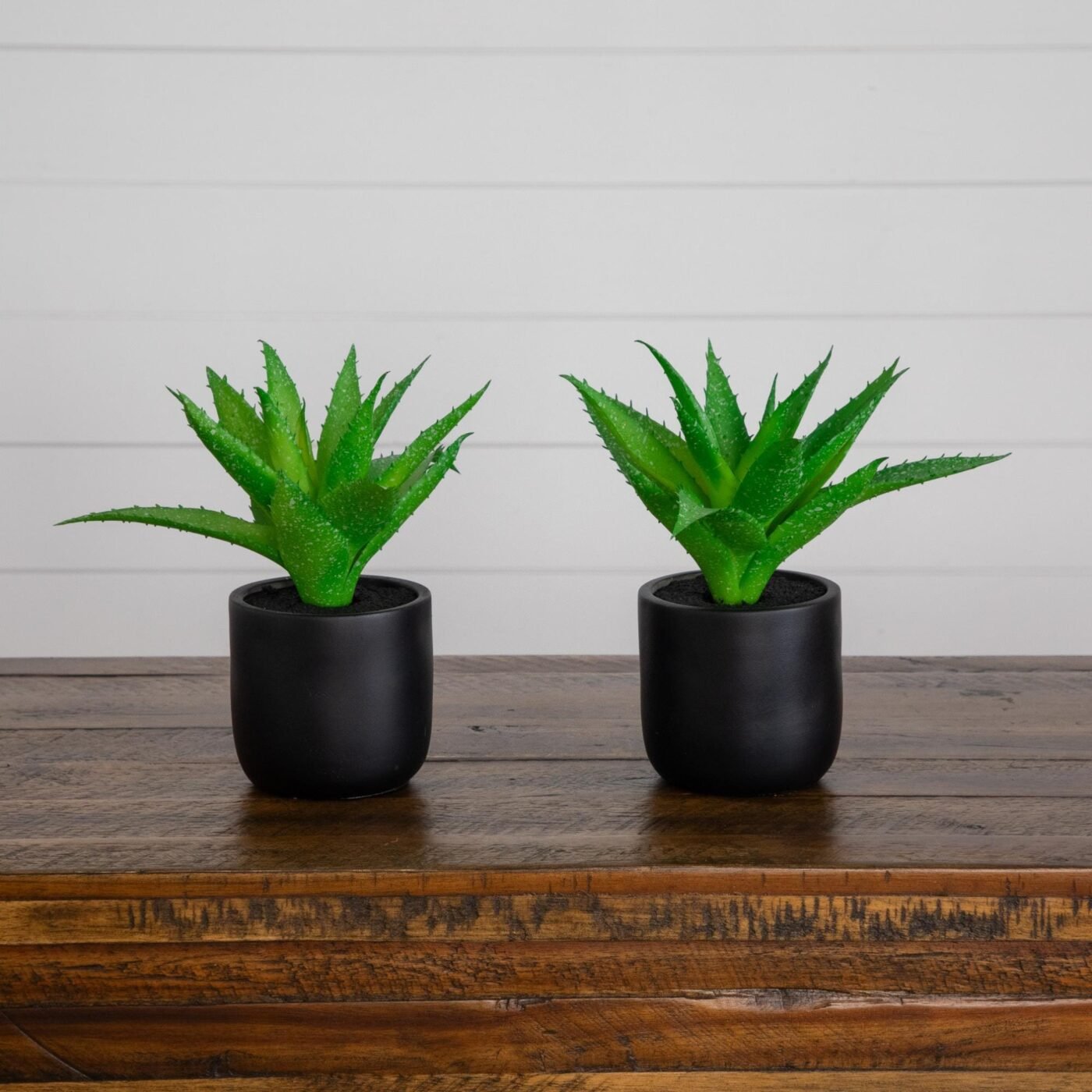 9" Artificial Mini Agave Plant in Ceramic Black Planter - Set of 2