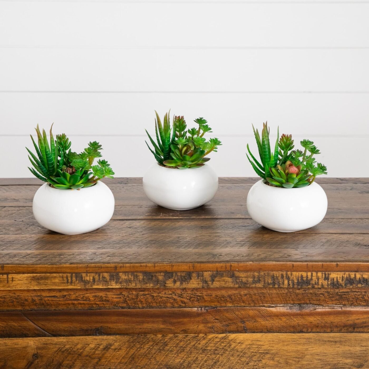 6" Artificial Succulent Garden in Ceramic White Planter - Set of 3
