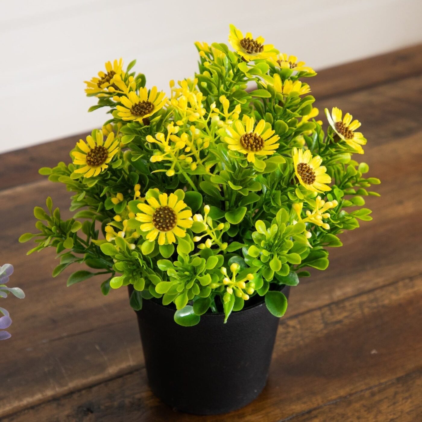 8" Artificial Flowering Daisy in Black Pot - Set of 3