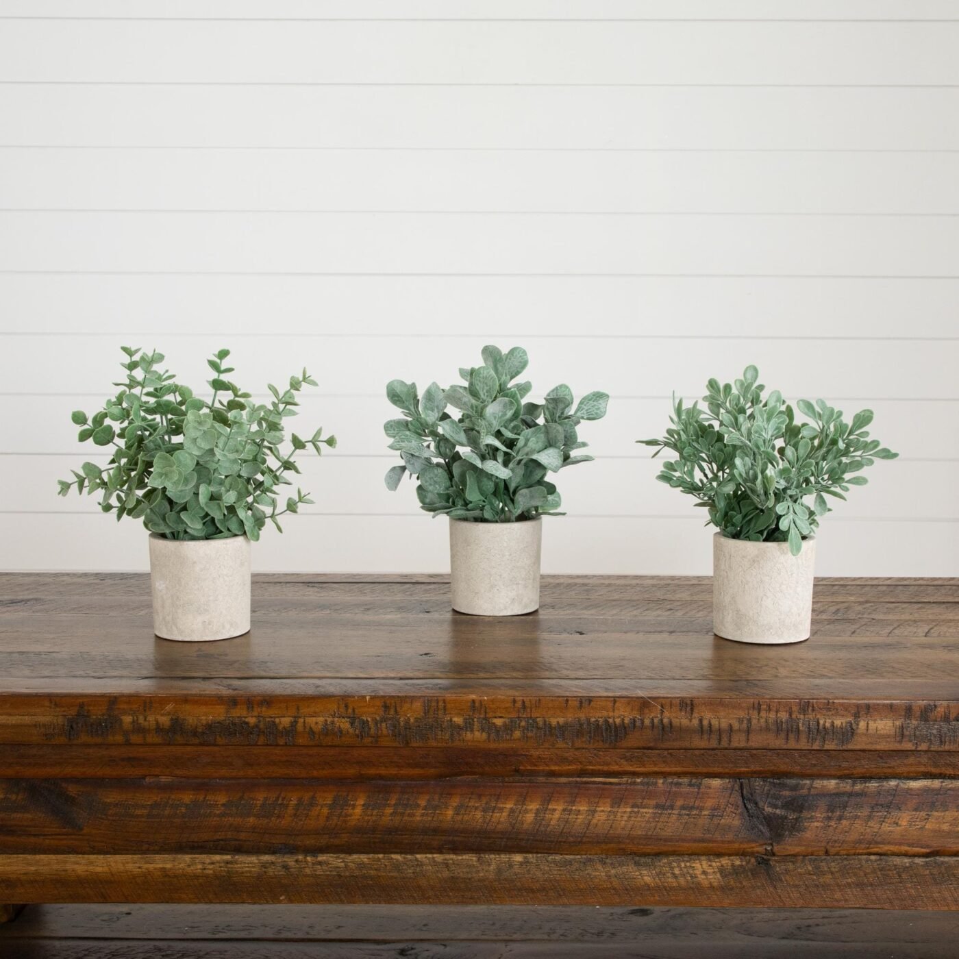 8" Artificial Mixed Eucalyptus Plant in Decorative Planter - Set of 3